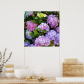 kleurrijke hydrangea poster (Keuken)