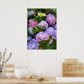 kleurrijke hydrangea poster (Keuken)