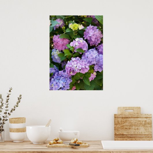 kleurrijke hydrangea poster (Keuken)