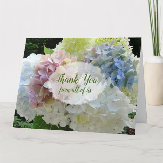 Kleurrijke Hydrangea's Grote 'Van iedereen bedankt (Voorkant)