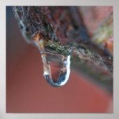 Kleurrijke ijskap poster (Voorkant)