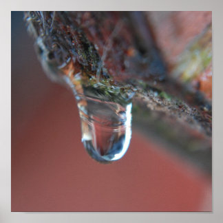 Kleurrijke ijskap poster