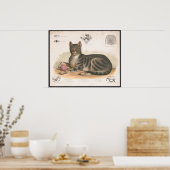 Kleurrijke illustratie van  katten Afdrukken Poster (Keuken)