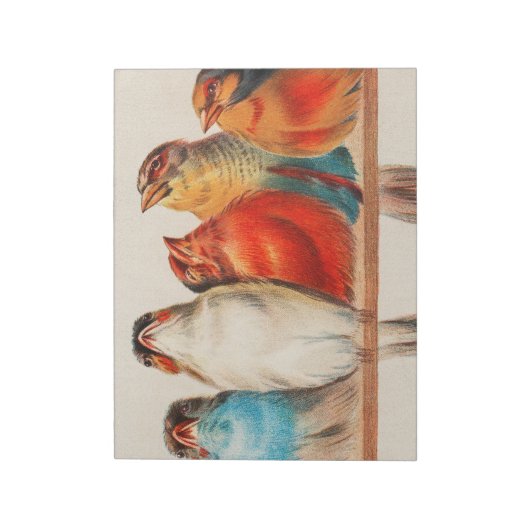 Kleurrijke  illustratie van vijf kleine vogeltjes notitieblok (Linkerzijde)