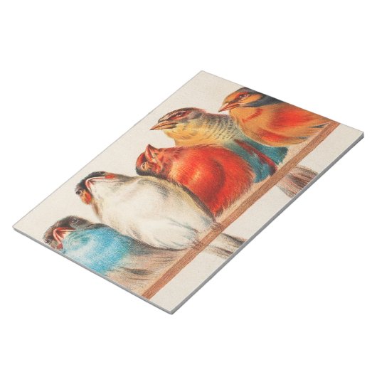 Kleurrijke illustratie van vijf kleine vogeltjes notitieblok (Schuin)