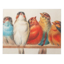 Kleurrijke  illustratie van vijf kleine vogeltjes