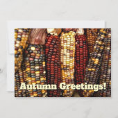Kleurrijke Indiase maïskorrels foto Briefkaart (Voorkant)