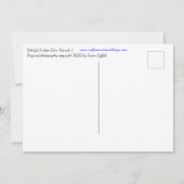 Kleurrijke Indiase maïskorrels foto Briefkaart (Achterkant)