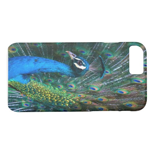 Kleurrijke Indische paardenstaartwaren open profie Case-Mate iPhone Case (Achterkant (Horizontaal))