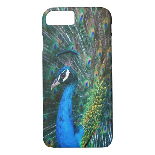 Kleurrijke Indische paardenstaartwaren open profie Case-Mate iPhone Case (Achterkant)