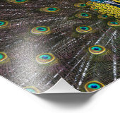 Kleurrijke Indische paardenstaartwaren openen voor Foto Afdruk (Hoek)