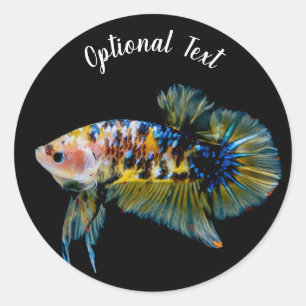 Kleurrijke inktvlekken bij de bestrijding van vis ronde sticker