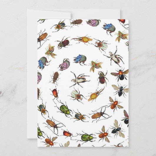 Kleurrijke  insecten & kevers Patroon Bedankkaart (Achterkant)