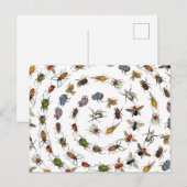 Kleurrijke insecten & kevers Patroon Feestdagenkaart (Voorkant / Achterkant)