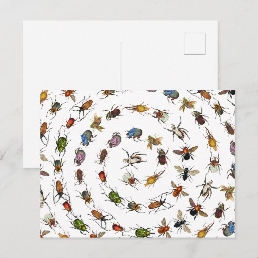 Kleurrijke insecten & kevers Patroon Feestdagenkaart (Voorkant / Achterkant)