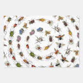 Kleurrijke insecten & kevers Patroon Inpakpapier Vel (Voorkant 2)