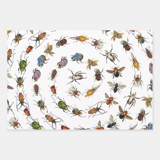 Kleurrijke  insecten & kevers Patroon Inpakpapier Vel (Voorkant)