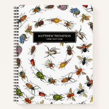 Kleurrijke  insecten & kevers Patroon