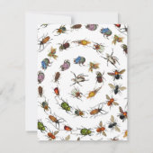 Kleurrijke  insecten & kevers Patroon Notitiekaartje (Achterkant)
