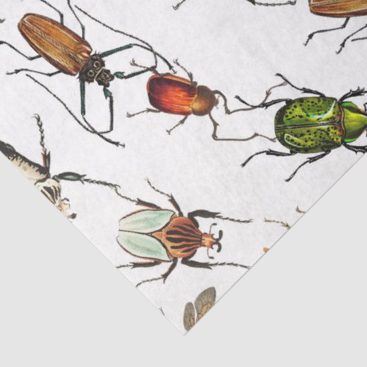 Kleurrijke insecten & kevers Patroon Tissuepapier (Detail)