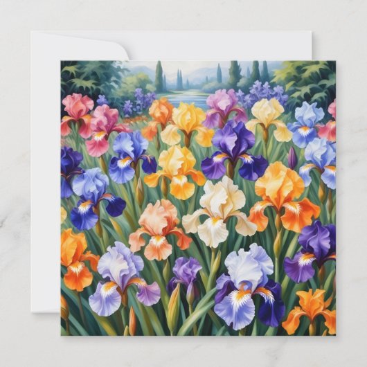 Kleurrijke iris tuin (Voorkant)