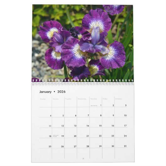 Kleurrijke irisbloemen kalender (Jan 2026)