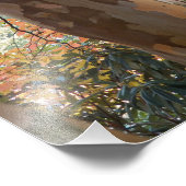 Kleurrijke Japanse Stewartia Boom Foto Afdruk (Hoek)