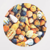 Kleurrijke kalebassen C Labels (Design 1)