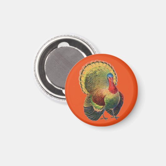 Kleurrijke  kalkoen magneet (Voorkant / Achterkant)