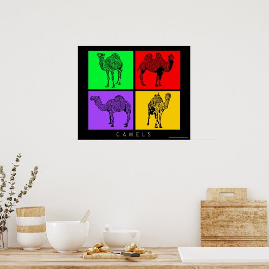 Kleurrijke kamelen poster (Keuken)