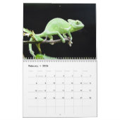 Kleurrijke kameleons 2026 kalender (Feb 2026)
