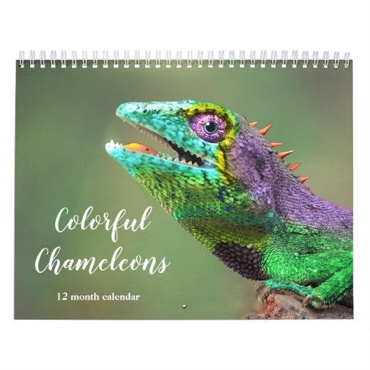 Kleurrijke kameleons 2026 kalender (Hoes)