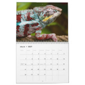 Kleurrijke kameleons 2026 kalender (Mar 2027)