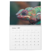 Kleurrijke kameleons 2026 kalender (Jan 2027)