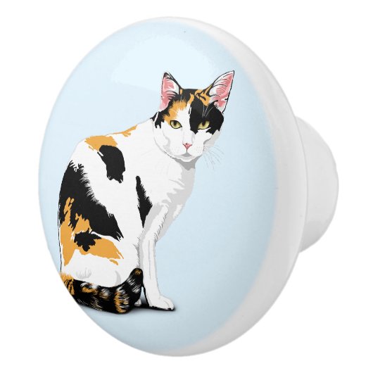 Kleurrijke Kat Knoop Maatwerk Keramische Knop (Rechts)