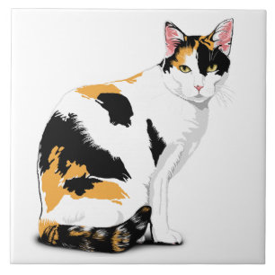 Kleurrijke Kat Maatwerk Tegeltje