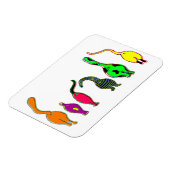 Kleurrijke Kattenkonten Magneet (Linkerzijde)