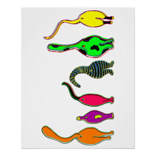 Kleurrijke kattenpeuken perfect poster