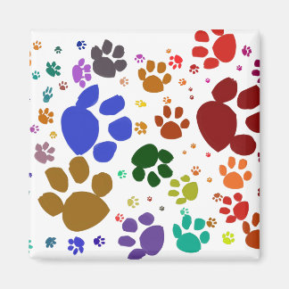 kleurrijke kattenpoten magneet