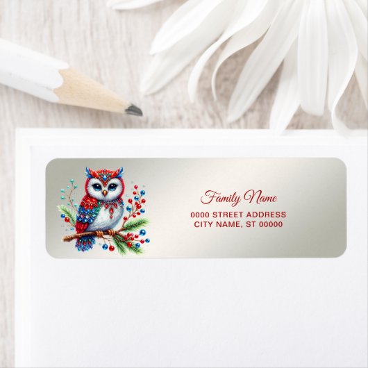 Kleurrijke kerst uil retour adres etiket (Insitu)