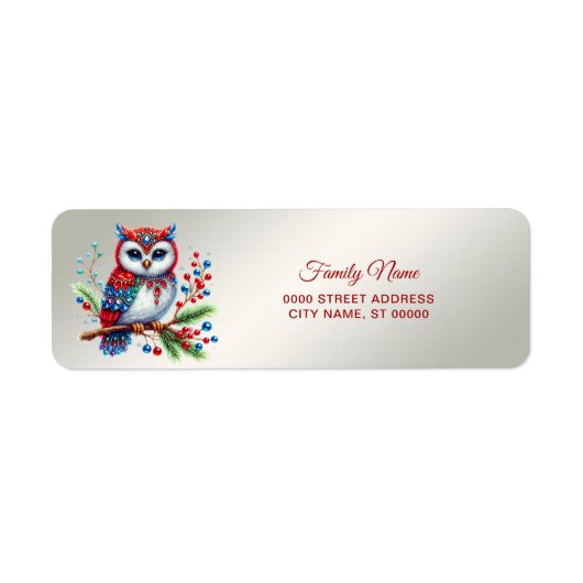 Kleurrijke kerst uil retour adres etiket (Voorkant)