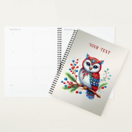 Kleurrijke kerst uil vakantie planner (Display)