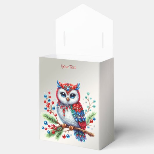 Kleurrijke kerstuil vakantie geschenkdoos bedankdoosjes (Geopend)