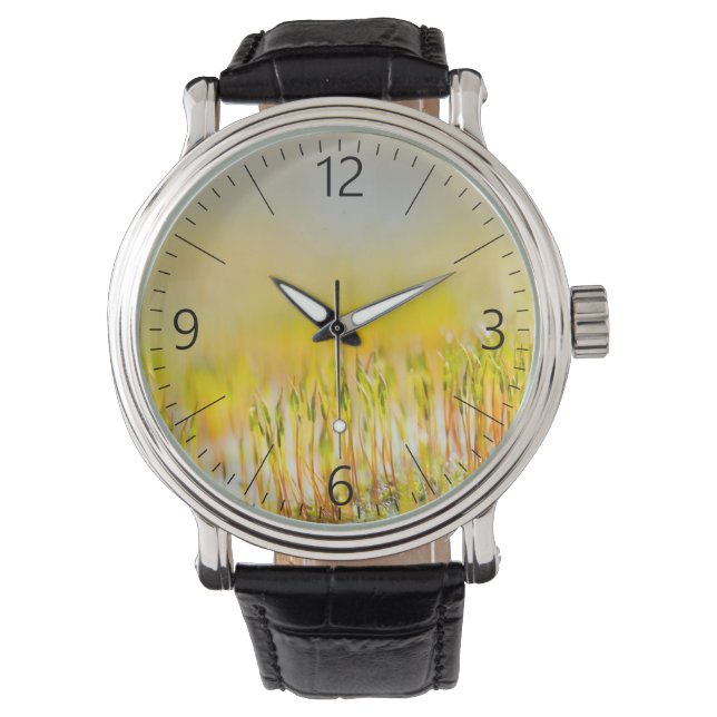 Kleurrijke kiemen horloge (Voorkant)