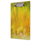 Kleurrijke kiemen klembord (Links)