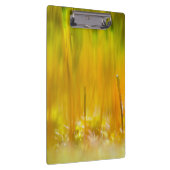 Kleurrijke kiemen klembord (Rechts)