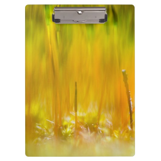 Kleurrijke kiemen klembord (Voorkant)