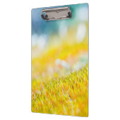 Kleurrijke kiemen klembord (Links)