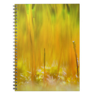 Kleurrijke kiemen notitieboek