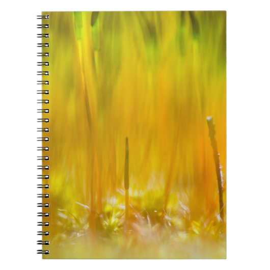 Kleurrijke kiemen notitieboek (Voorkant)
